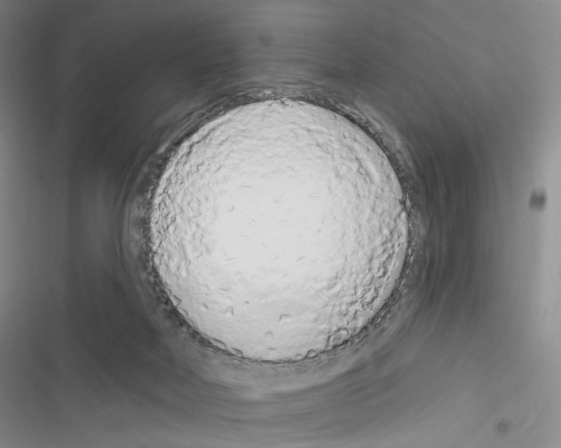 X0000116650026201001251206
