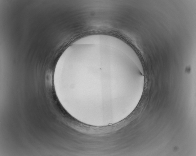 X0000116650027201001251206