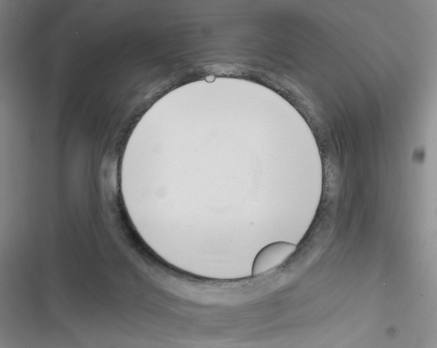 X0000116650028201001251206