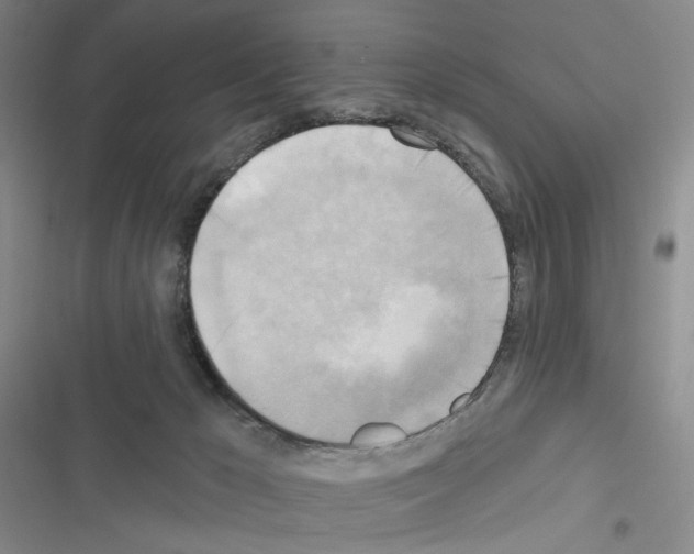 X0000116650029201001251206