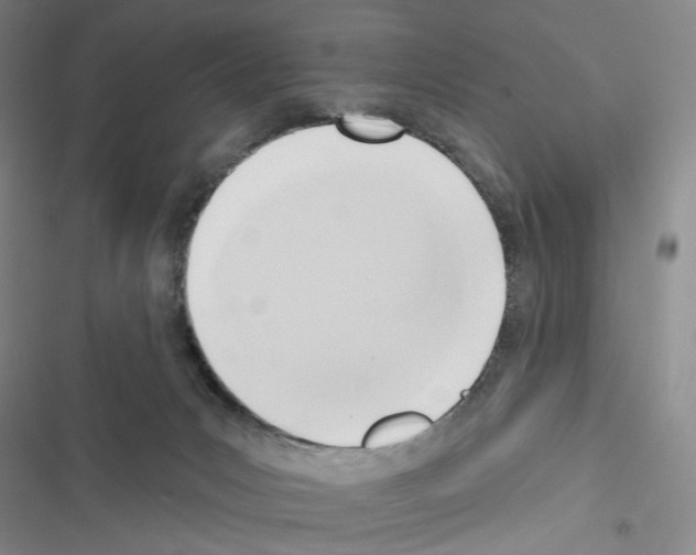 X0000116650031201001251206