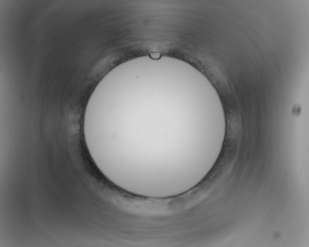 X0000116650032201001251206