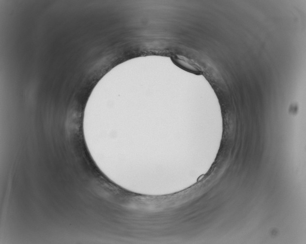 X0000116650033201001251206
