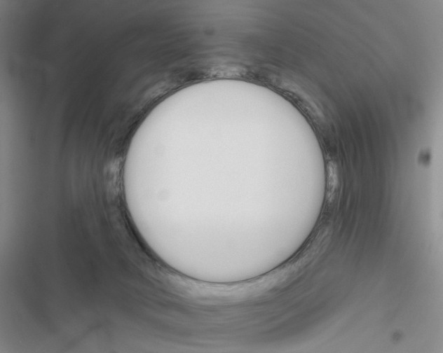 X0000116650034201001251206