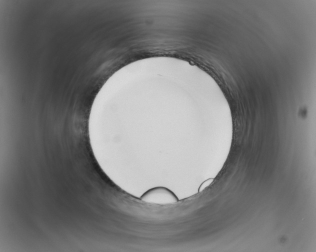 X0000116650035201001251206