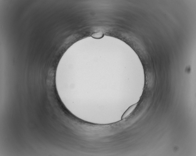 X0000116650036201001251206