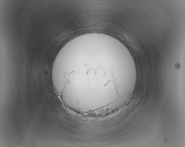 X0000116650037201001251206