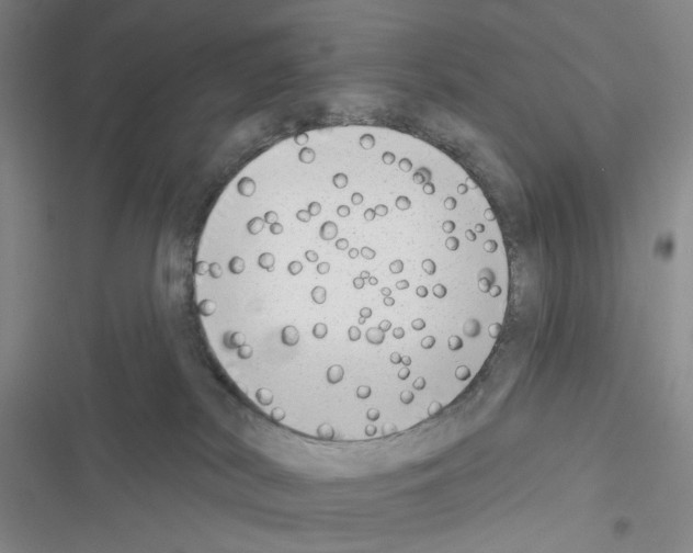 X0000116650038201001251206