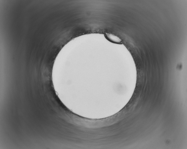 X0000116650039201001251206