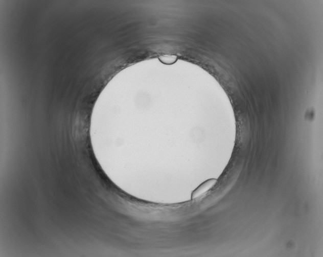 X0000116650040201001251206