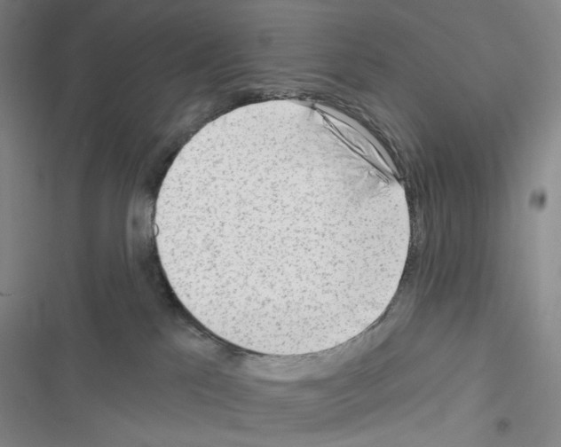X0000116650041201001251206
