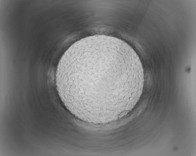 X0000116650042201001251206