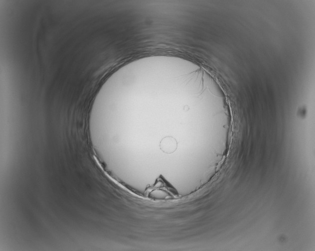 X0000116650043201001251206