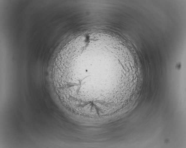 X0000116650044201001251206
