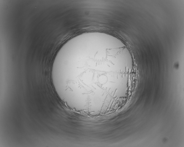 X0000116650045201001251206