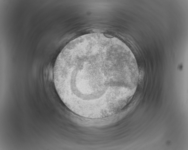 X0000116650046201001251206