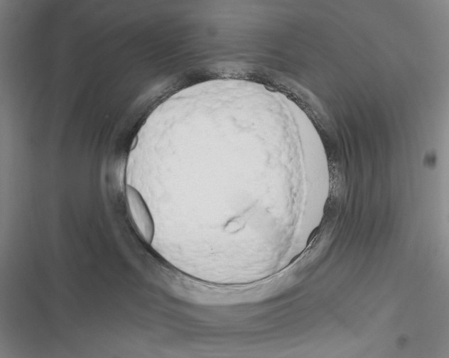X0000116650047201001251206