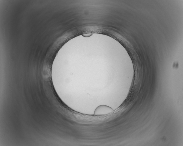 X0000116650048201001251206