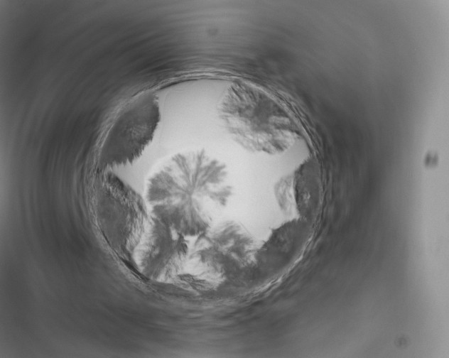 X0000116650049201001251205