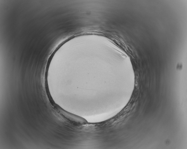 X0000116650052201001251205