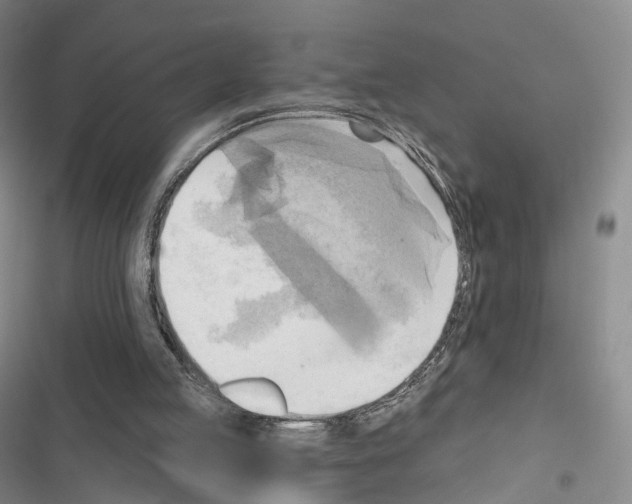 X0000116650053201001251205