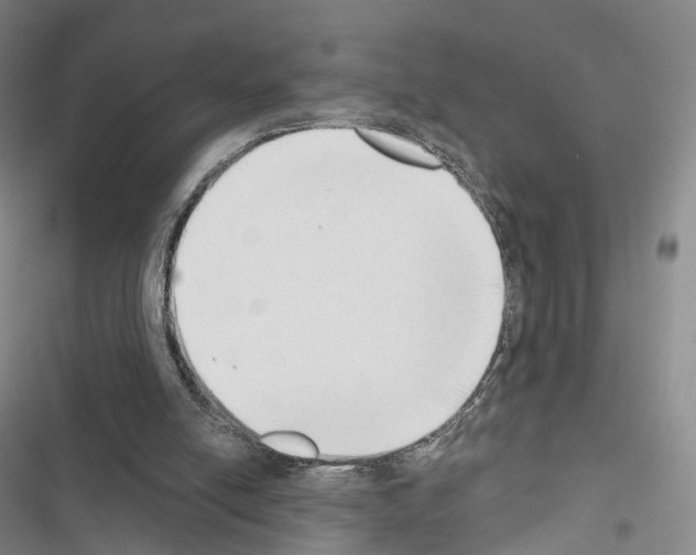 X0000116650054201001251205
