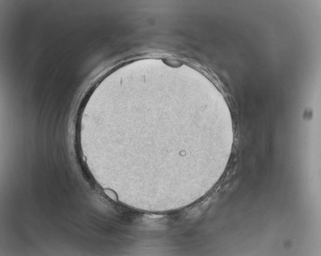 X0000116650055201001251205