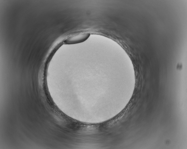 X0000116650056201001251205