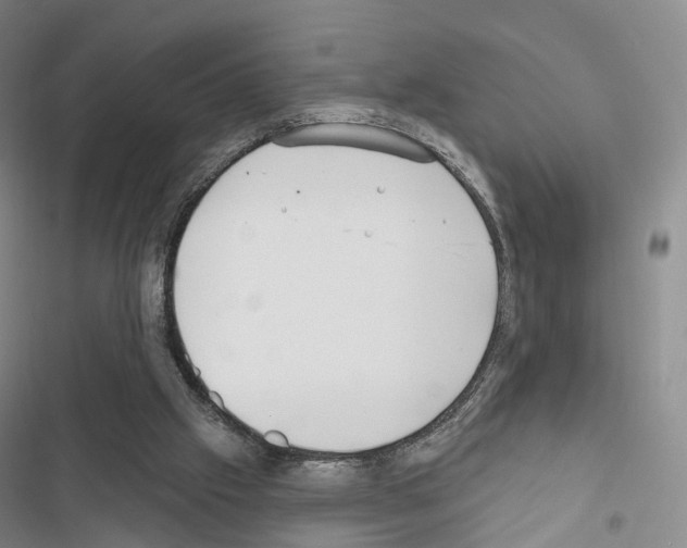 X0000116650057201001251205