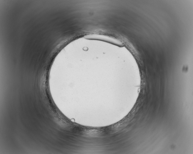 X0000116650058201001251205