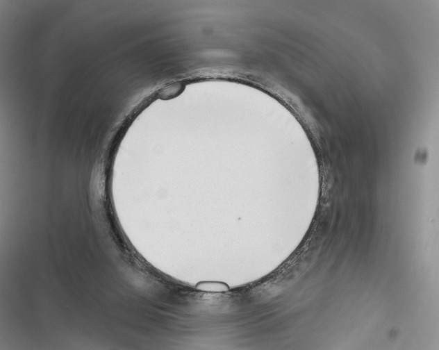 X0000116650060201001251205
