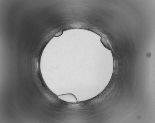 X0000116650061201001251205