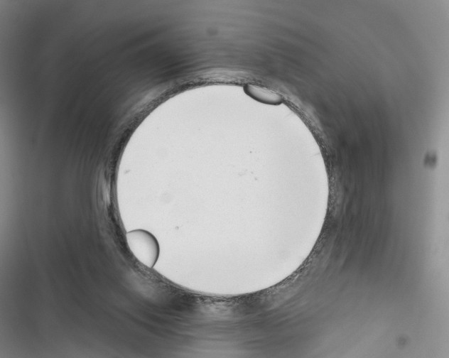 X0000116650062201001251205