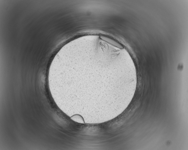 X0000116650063201001251205