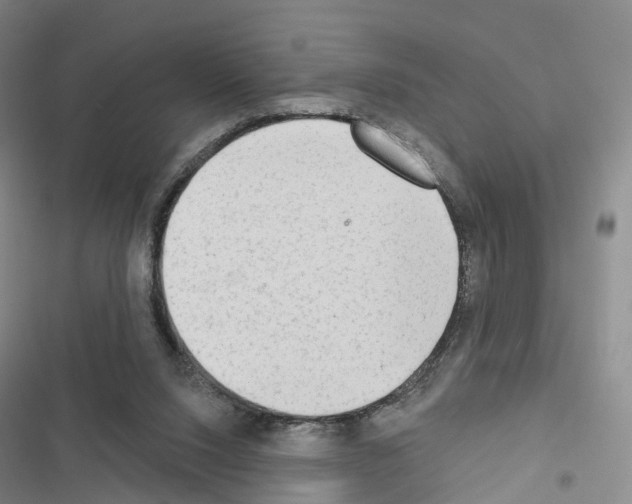 X0000116650064201001251205