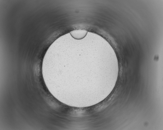 X0000116650065201001251205