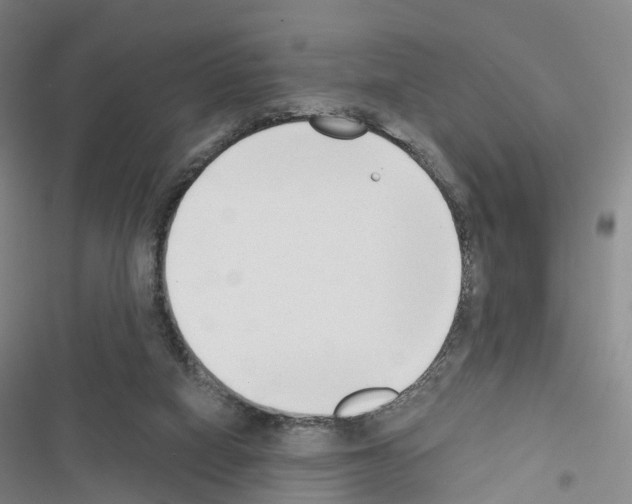 X0000116650066201001251205