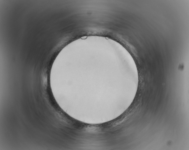 X0000116650067201001251205