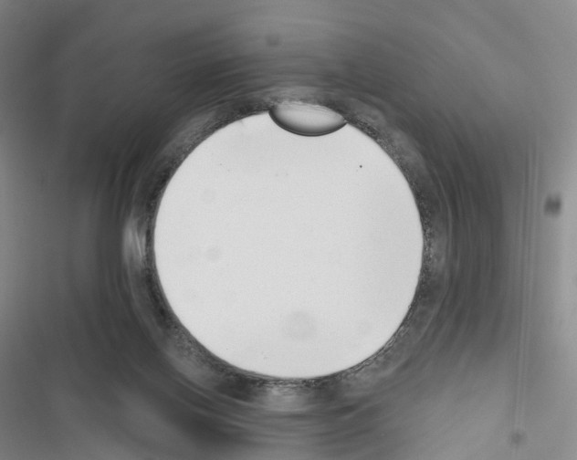 X0000116650070201001251205
