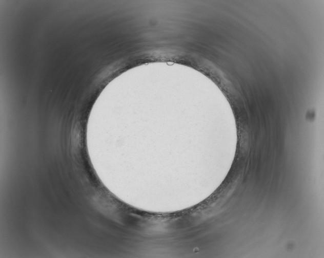 X0000116650071201001251205