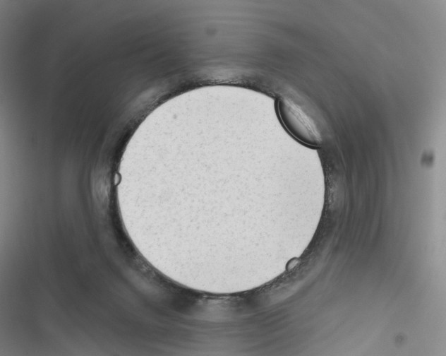 X0000116650072201001251205