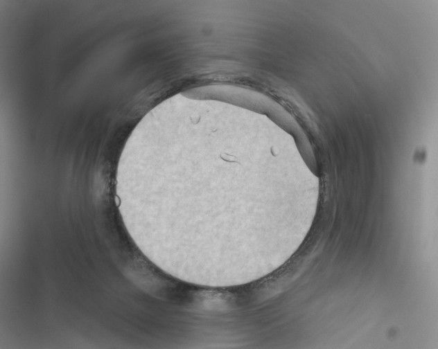 X0000116650073201001251205