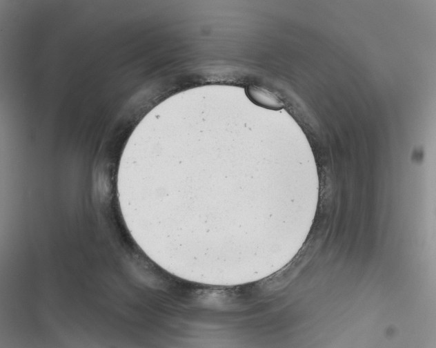 X0000116650074201001251205