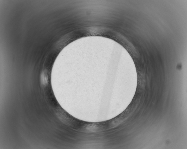 X0000116650075201001251206