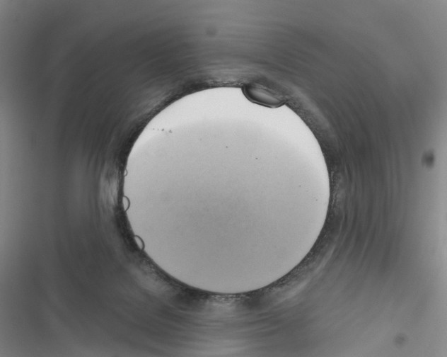X0000116650076201001251206
