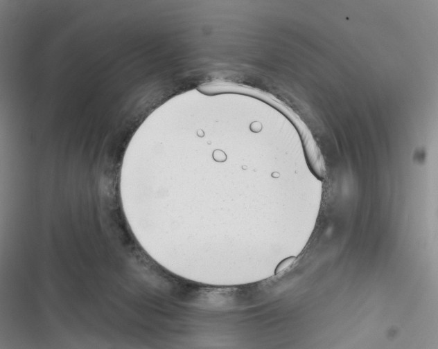 X0000116650078201001251206