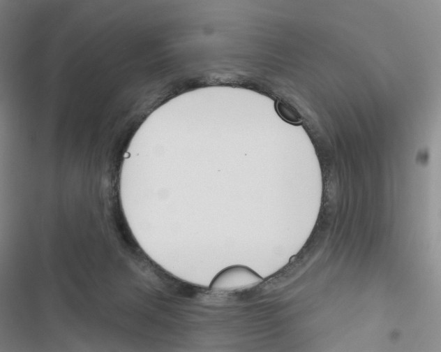 X0000116650079201001251206