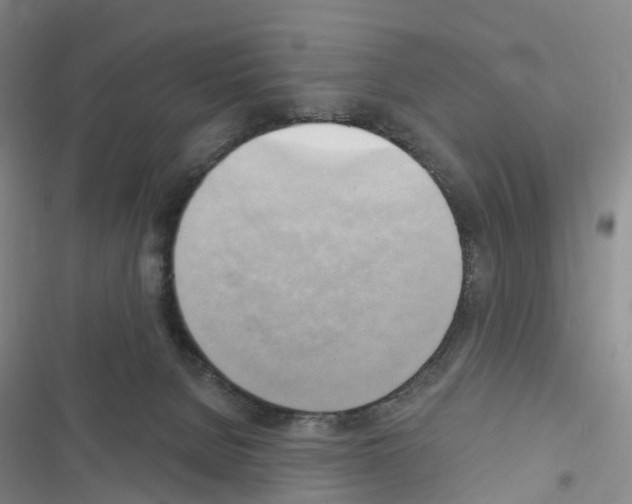 X0000116650080201001251206