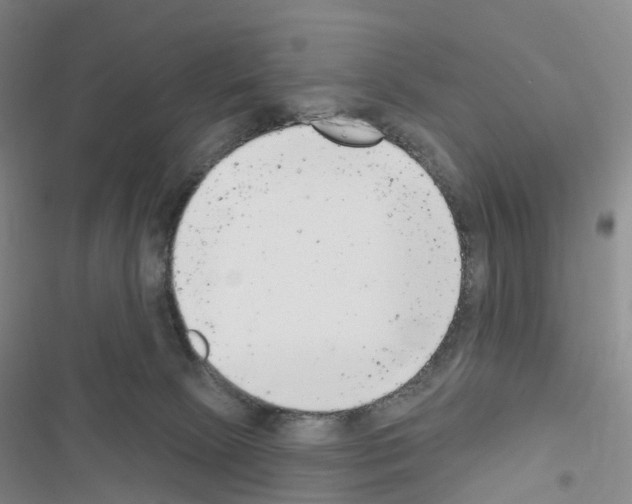 X0000116650081201001251206