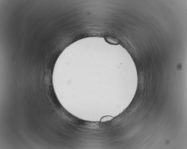 X0000116650083201001251206